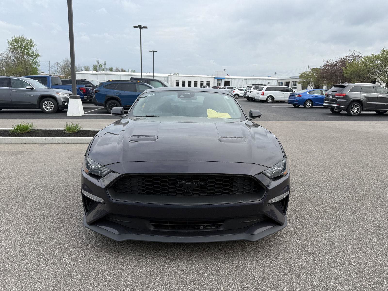 Used 2023 Ford Mustang Coupe w/ Mustang Nite Pony Package RWD image 8