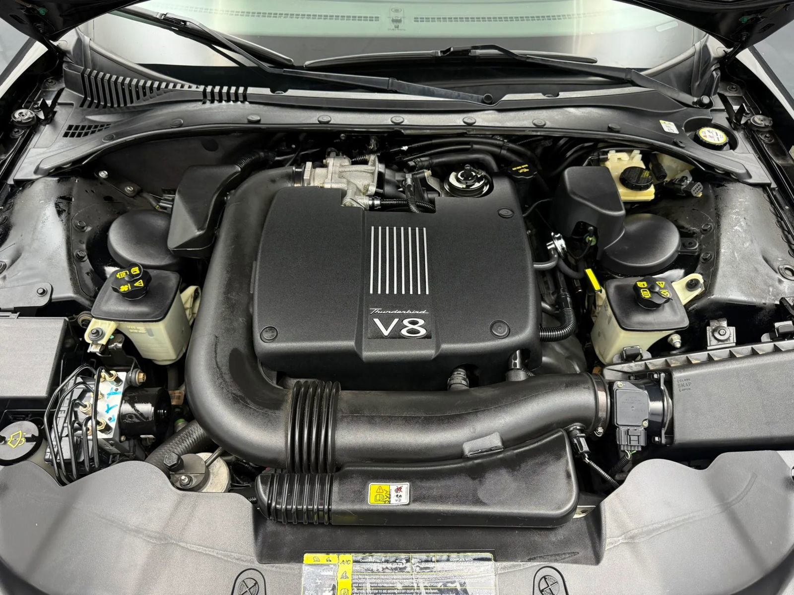 Used 2002 Ford Thunderbird RWD image 12