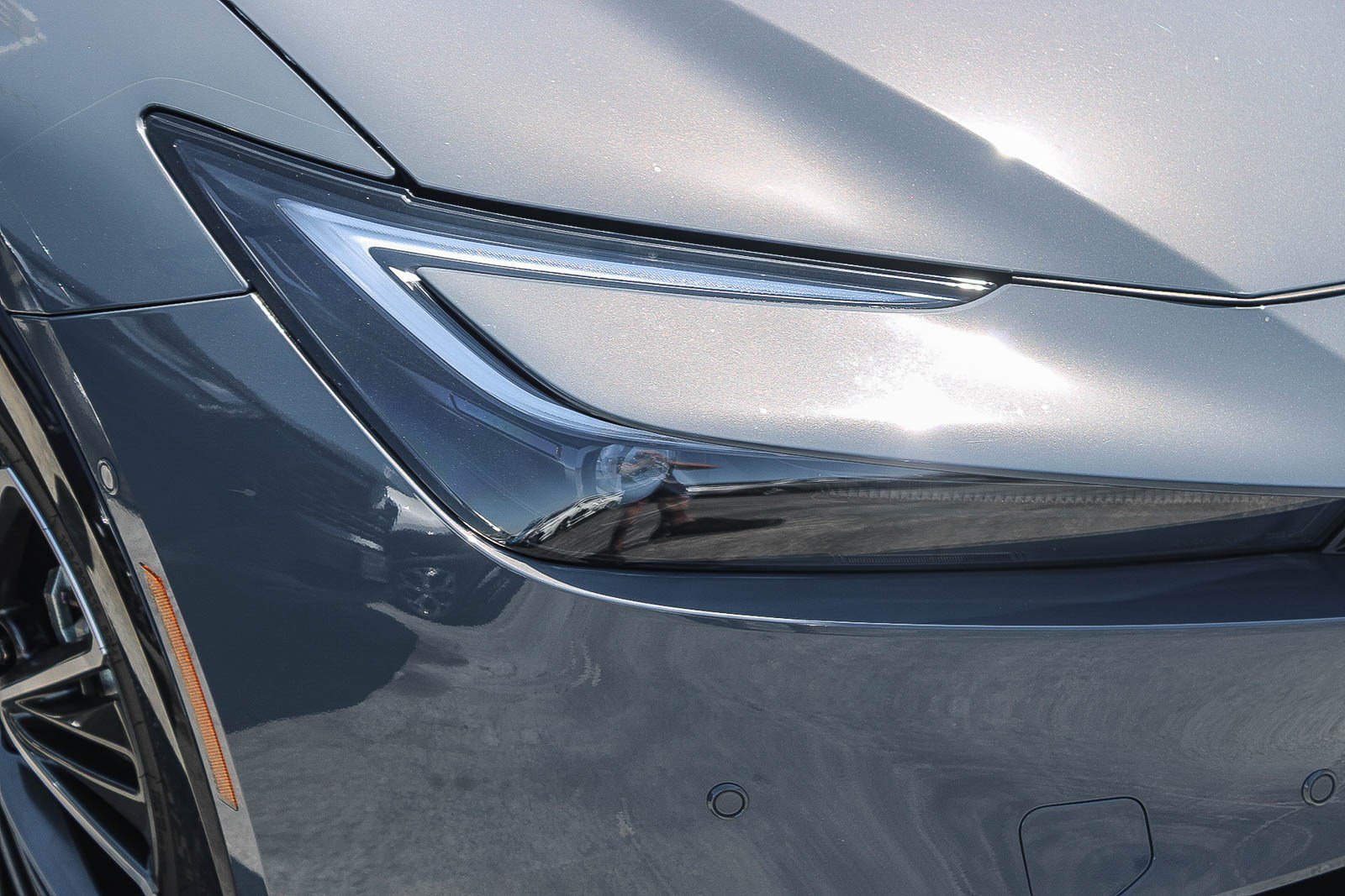 Certified 2026 Toyota Prius Limited FWD image 2