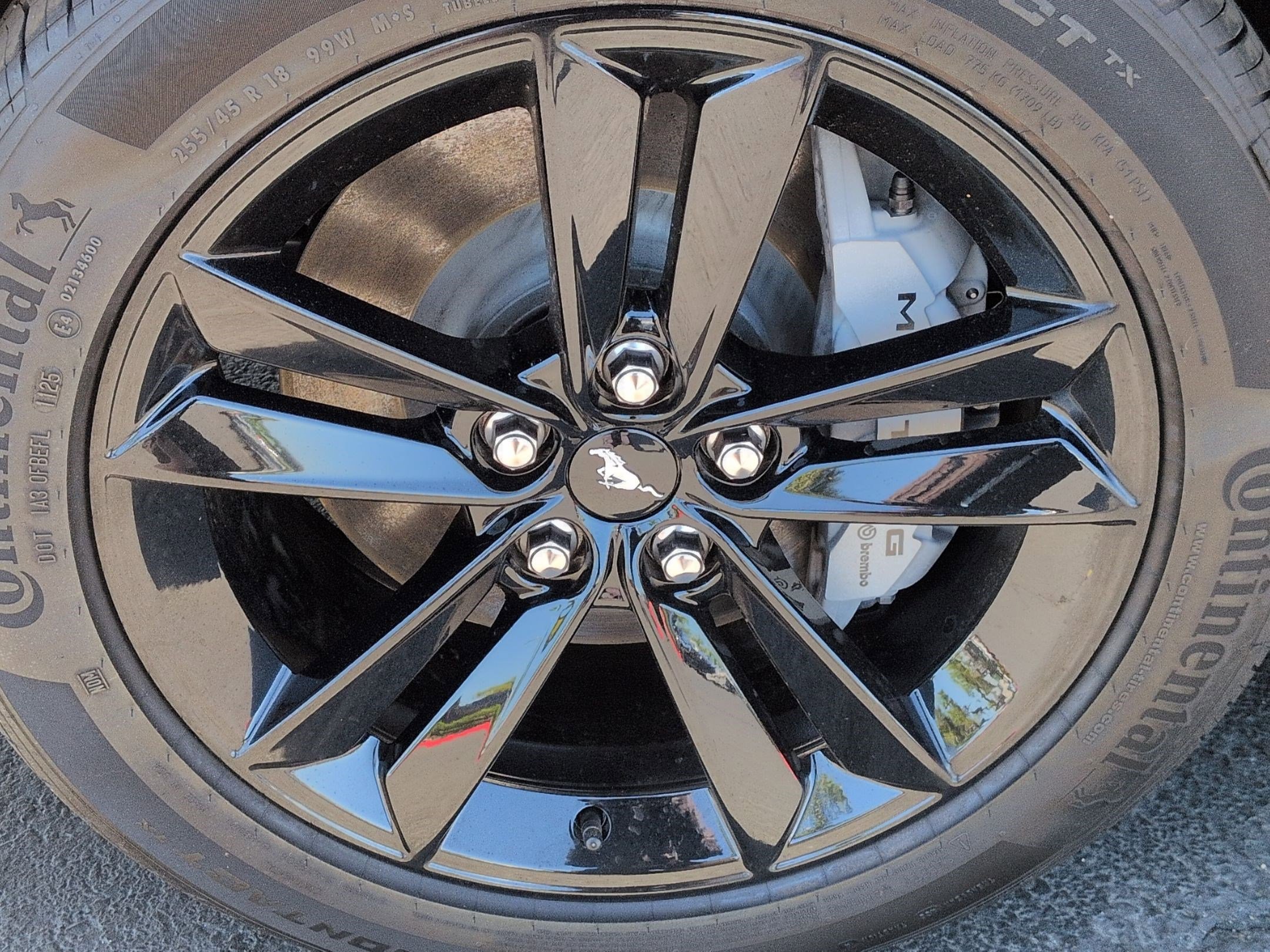 Used 2025 Ford Mustang GT RWD image 13