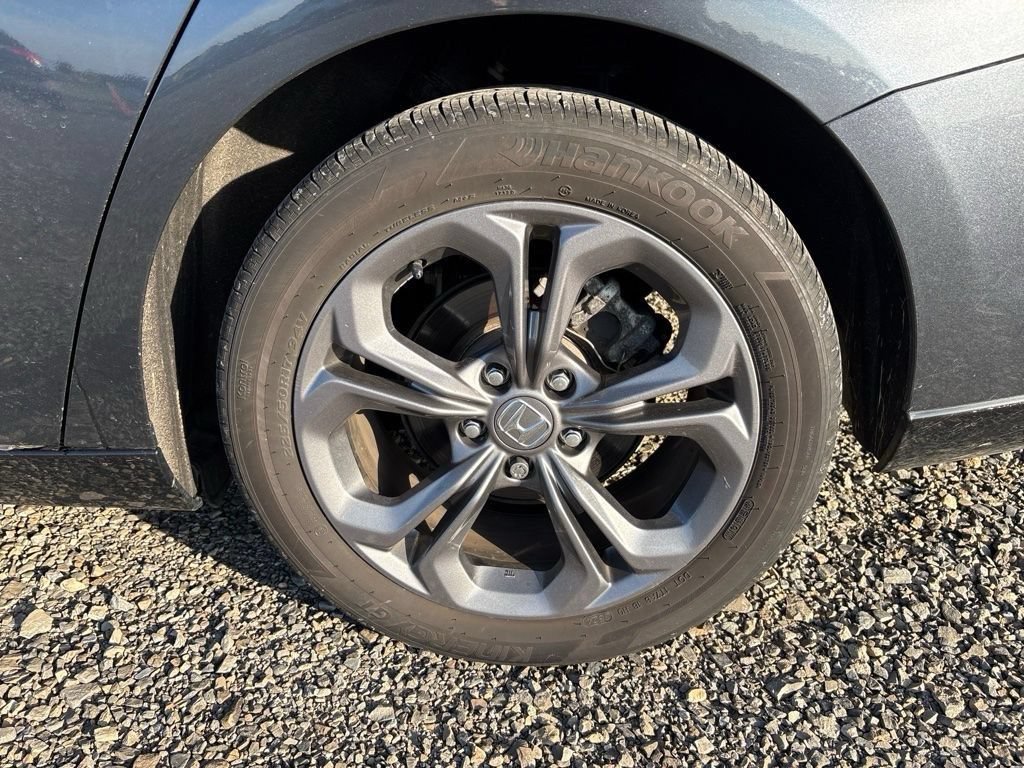 Used 2025 Honda Accord EX-L image 7