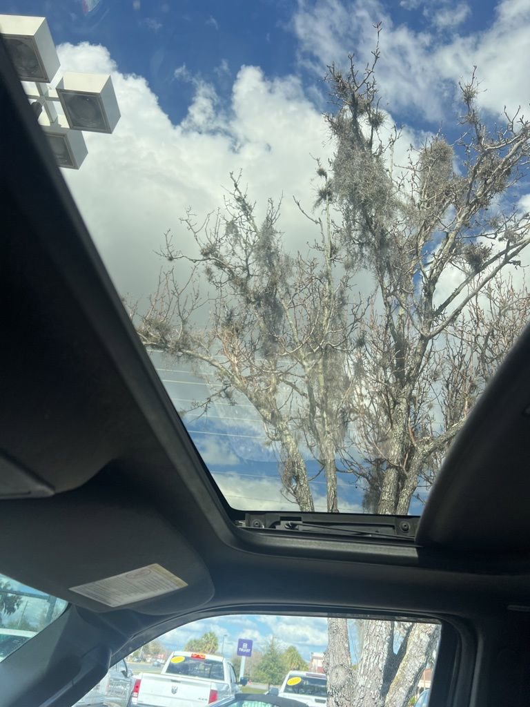 Used 2012 Ford Expedition Limited image 2