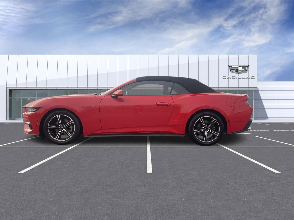 Used 2025 Ford Mustang Premium image 5