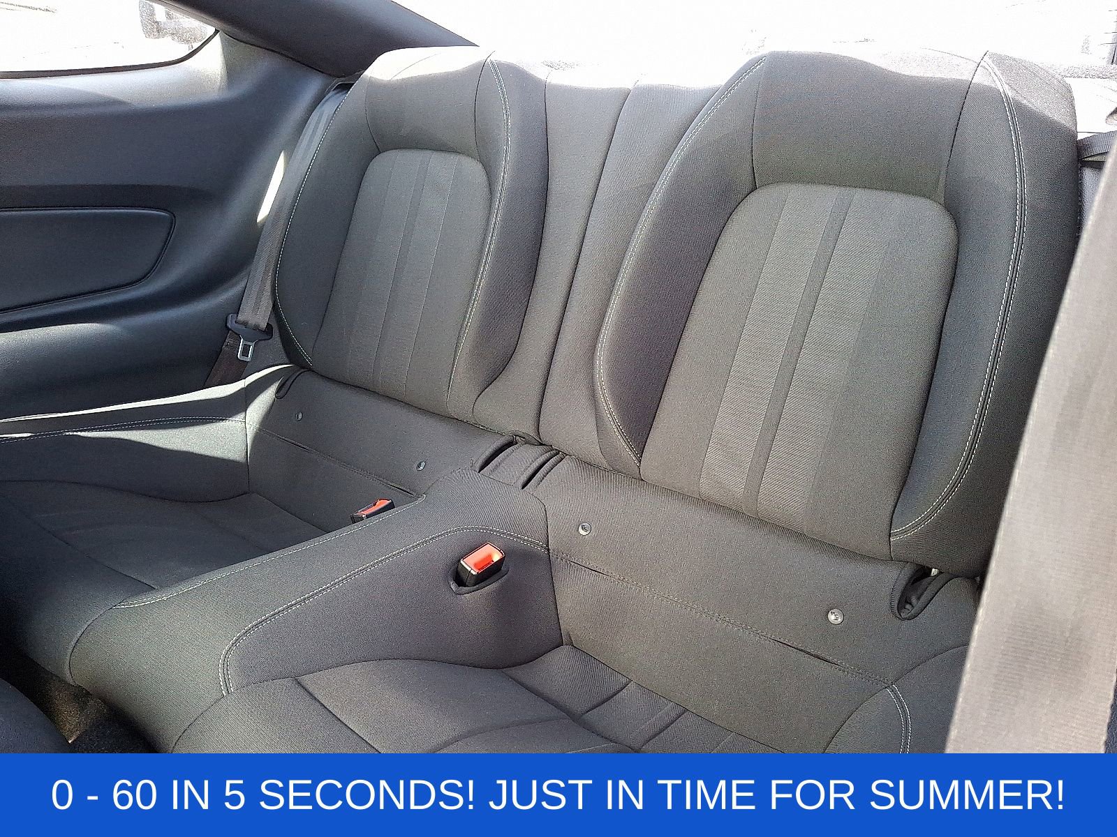 Used 2019 Ford Mustang Coupe w/ Ecoboost Performance Package image 11