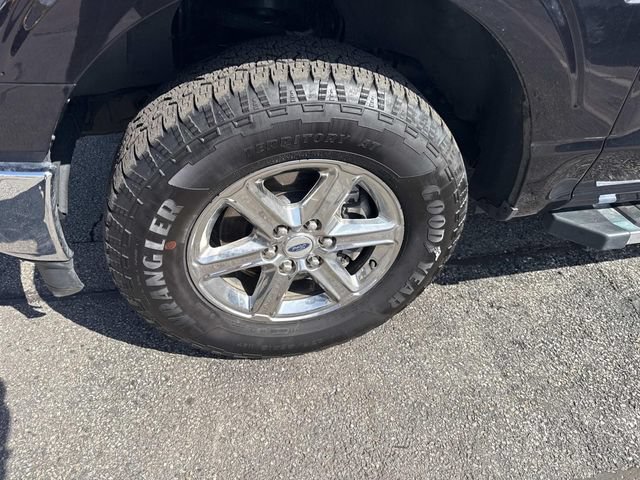 Used 2025 Ford F150 XLT w/ Equipment Group 301A Standard AWD/4WD image 12