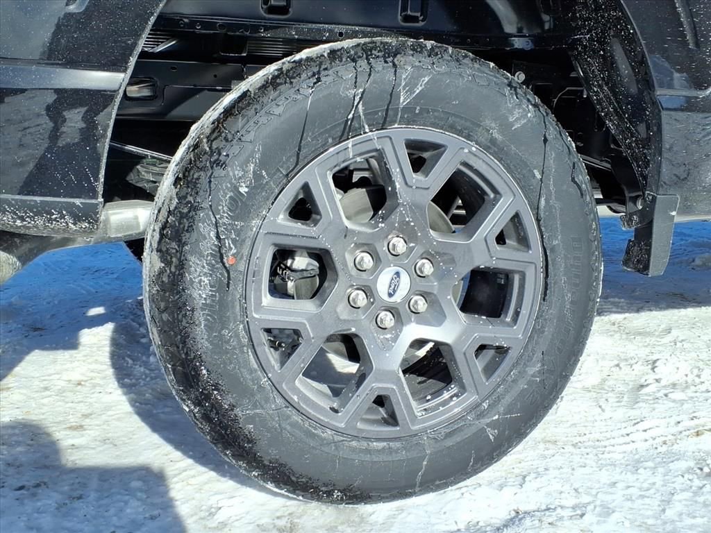 New 2026 Ford F150 STX w/ Equipment Group 200A image 9