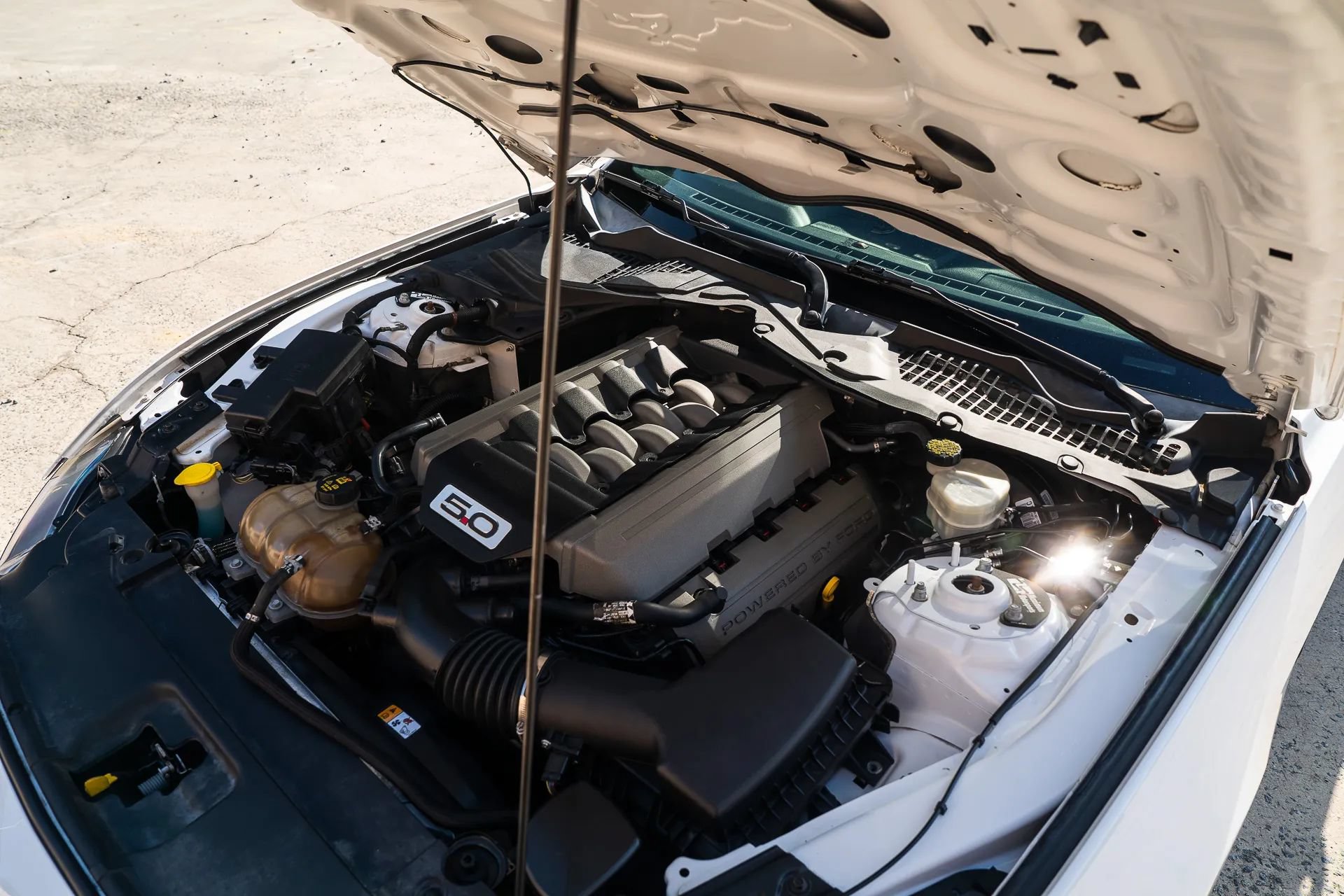 Used 2015 Ford Mustang GT RWD image 16