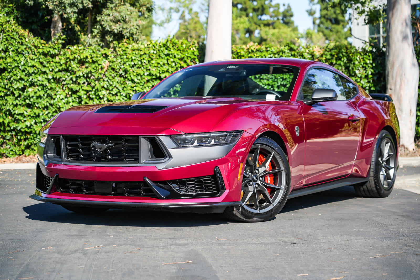 Used 2025 Ford Mustang Dark Horse image 1