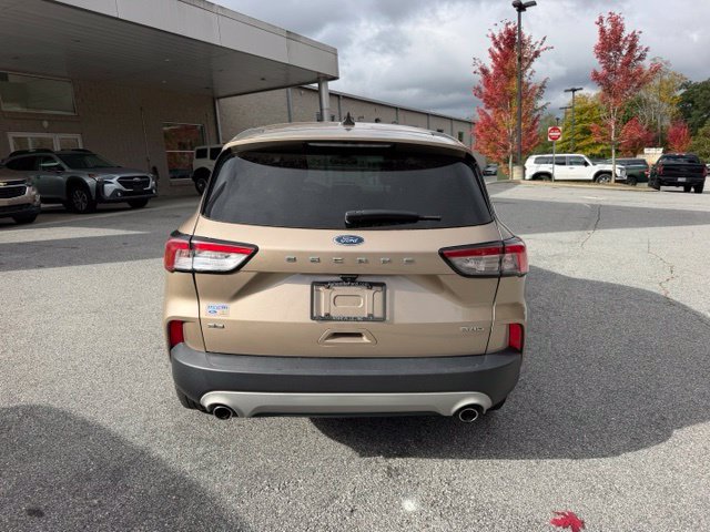 Used 2020 Ford Escape SE AWD/4WD image 4