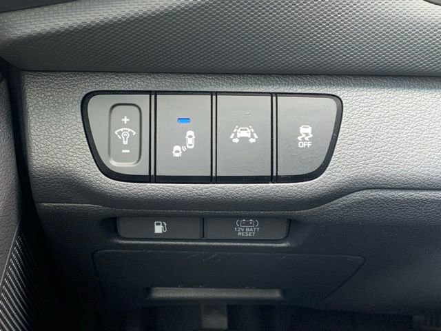 Used 2019 Hyundai Ioniq Limited image 22