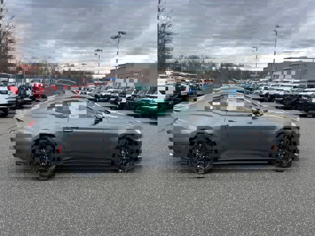 New 2026 Ford Mustang Coupe w/ Mustang Nite Pony Package image 13