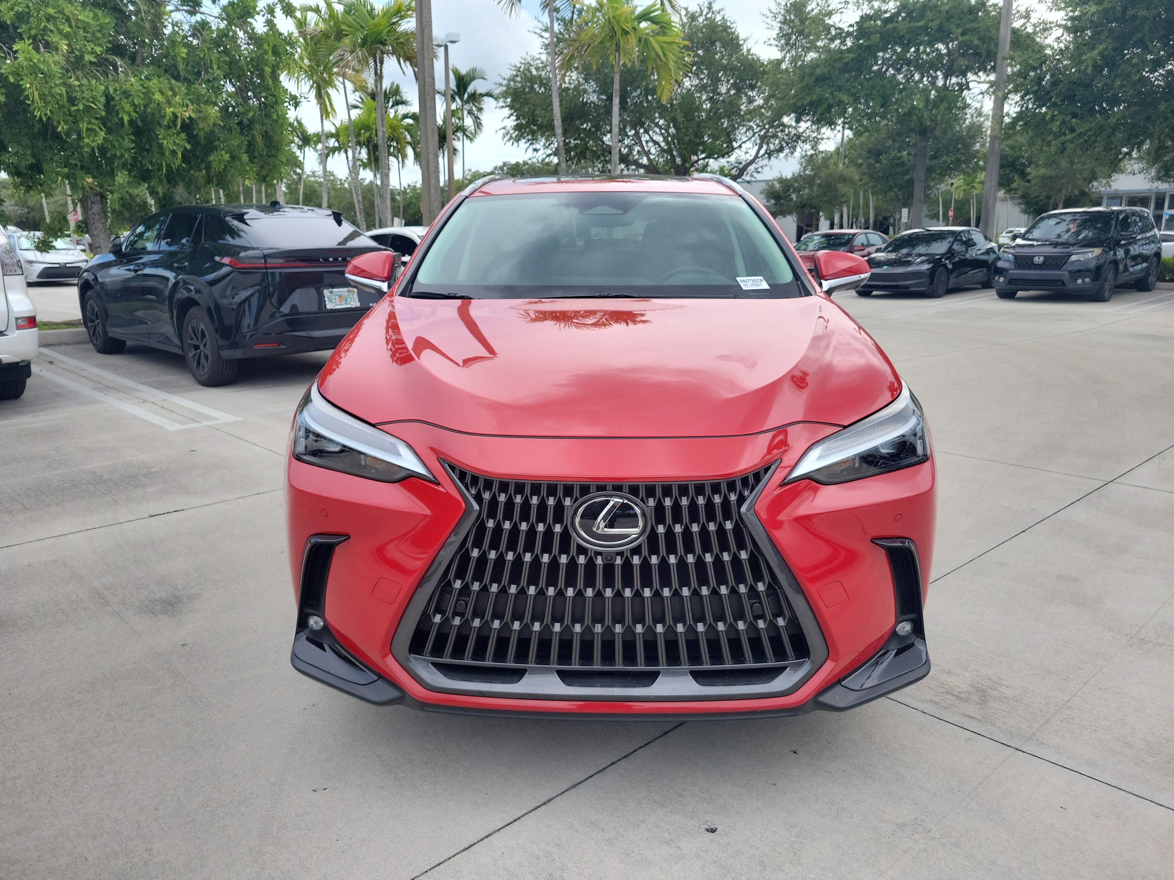 Certified 2025 Lexus NX 350 AWD w/ Cold Area Package image 3