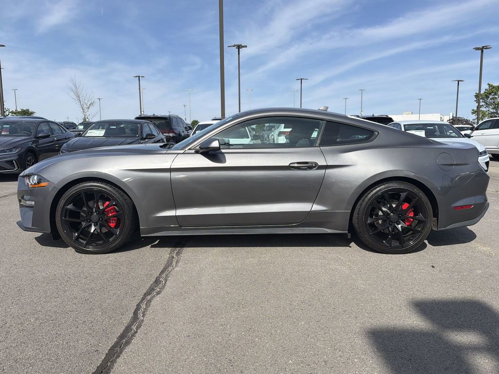 Used 2021 Ford Mustang Coupe image 2