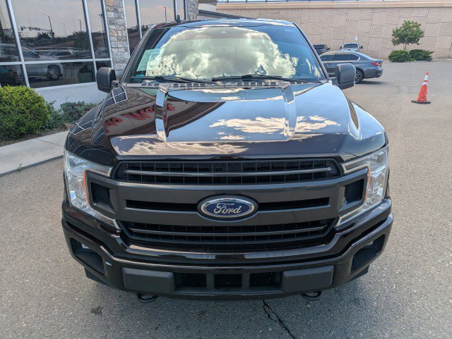 Used 2019 Ford F150 XLT w/ Equipment Group 302A Luxury AWD/4WD image 7