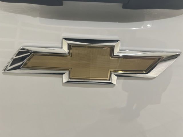 New 2024 Chevrolet Silverado EV W/T image 19