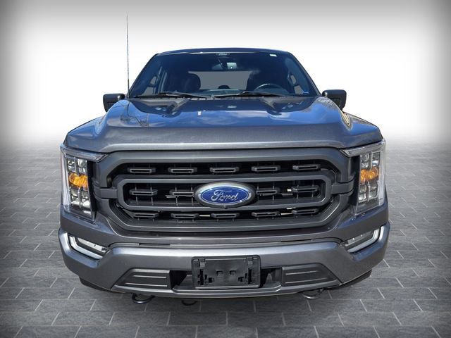 Used 2022 Ford F150 XLT w/ Equipment Group 302A High image 2