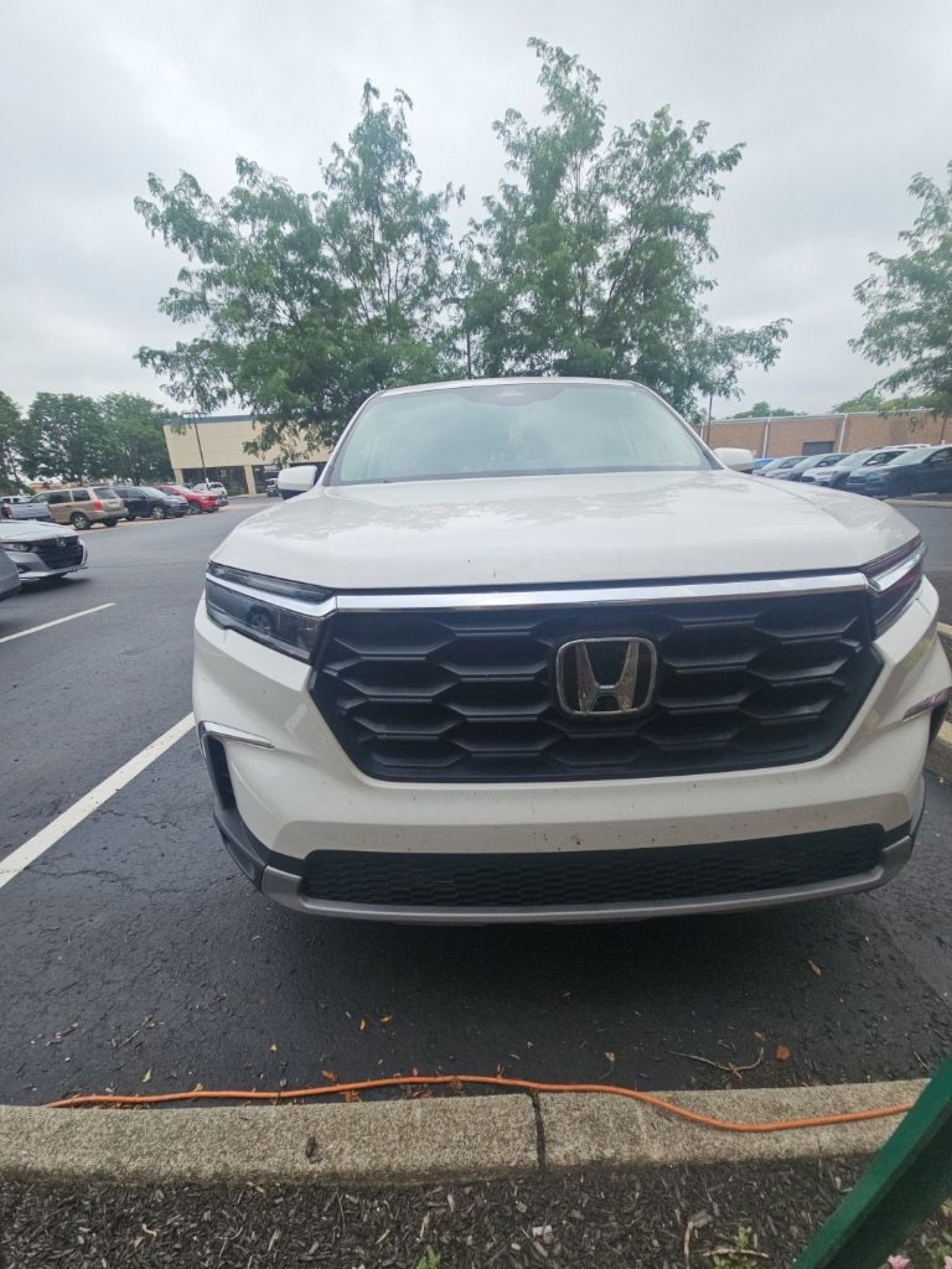 Used 2023 Honda Pilot EX-L image 4