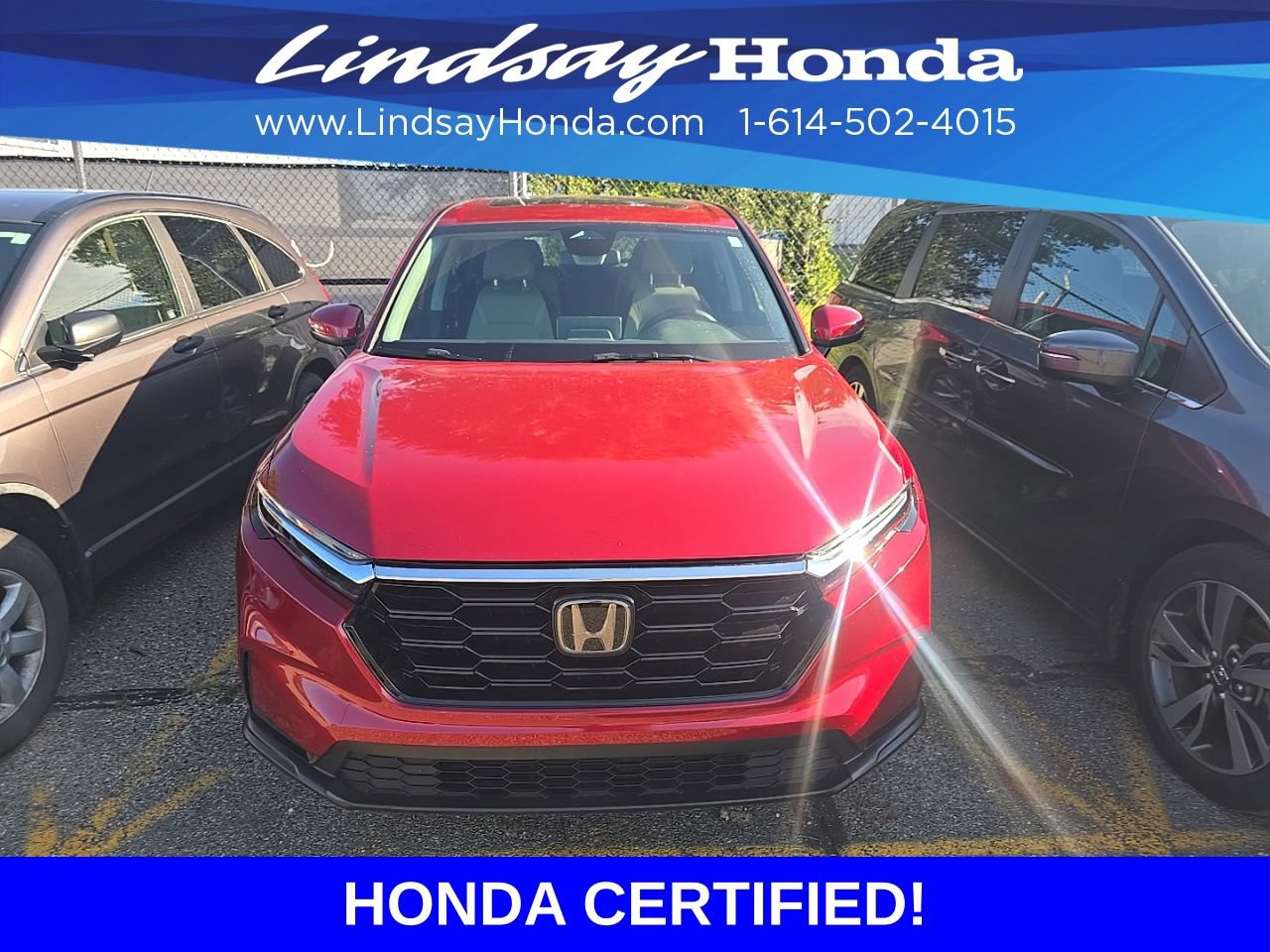 Certified 2024 Honda CR-V EX image 2