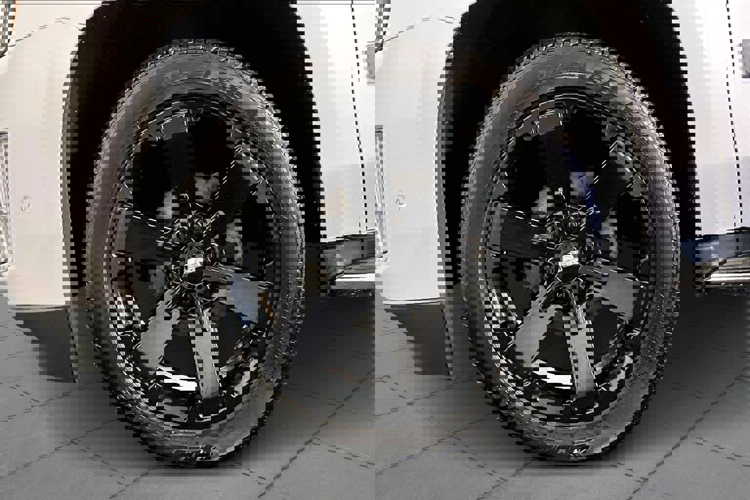 Used 2019 Cadillac Escalade Luxury image 11