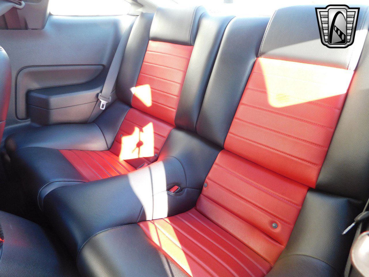 Used 2008 Ford Mustang Shelby GT500 image 13