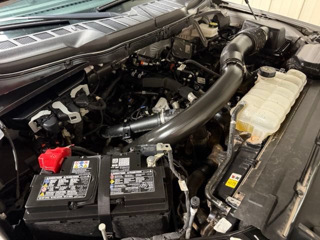 Used 2025 Ford F150 XLT w/ Equipment Group 301A Standard AWD/4WD image 40