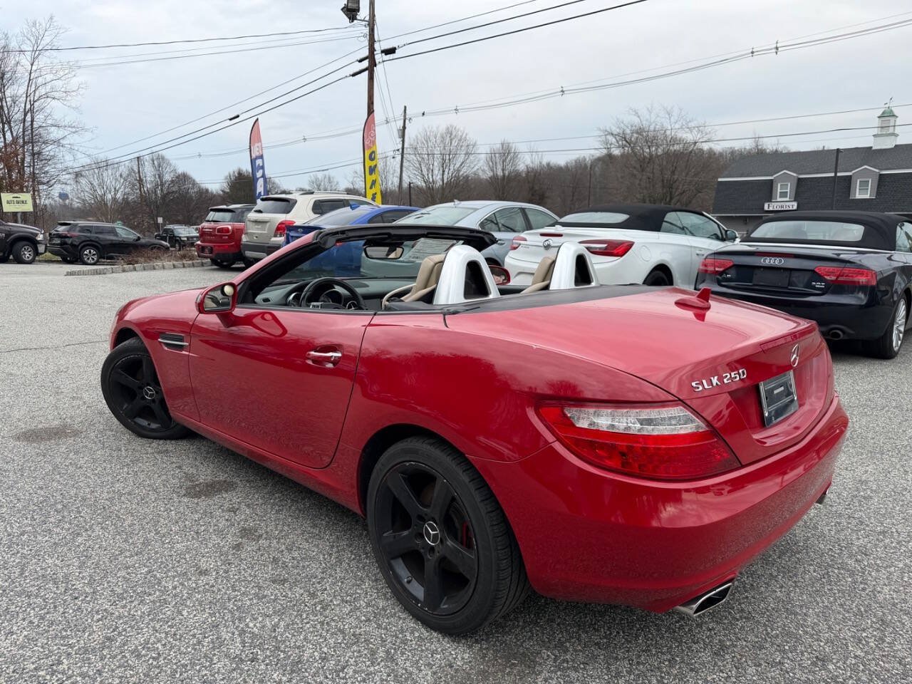 Used 2013 Mercedes-Benz SLK 250 w/ Premium I Pkg image 8