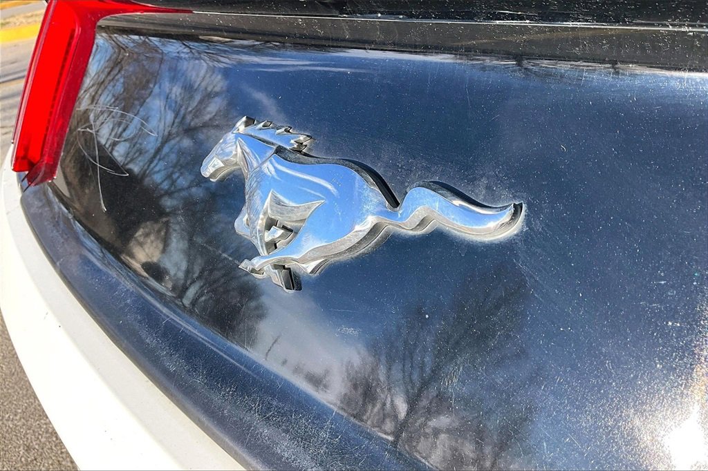 Used 2016 Ford Mustang Coupe image 8