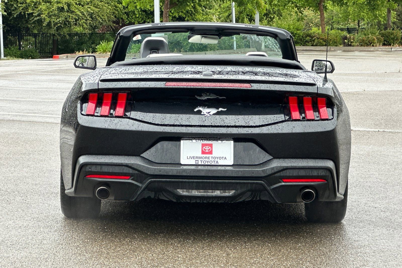 Used 2024 Ford Mustang Premium RWD image 5