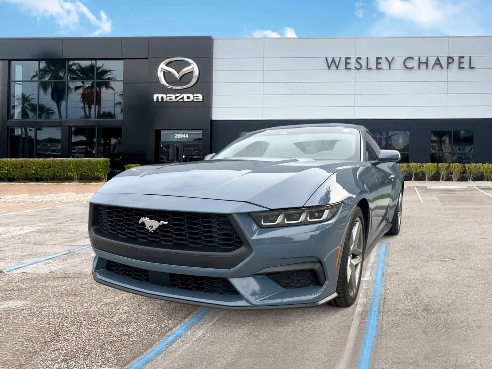 Used 2024 Ford Mustang Premium