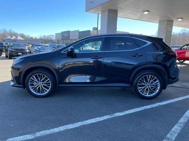Used 2023 Lexus NX 350 AWD w/ Cold Area Package image 8