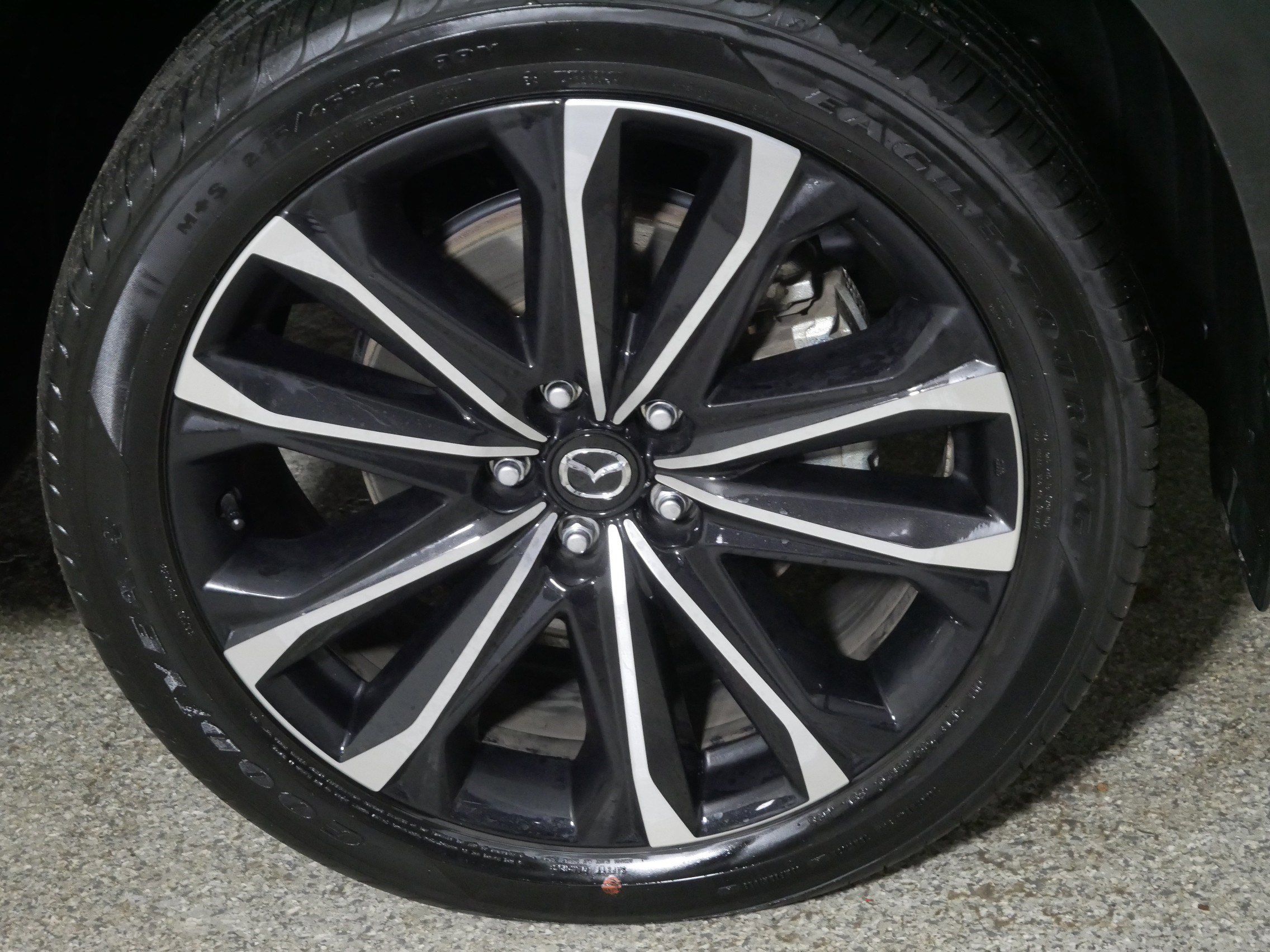 Certified 2025 MAZDA CX-50 AWD 2.5 S w/ Premium Plus Pkg image 15