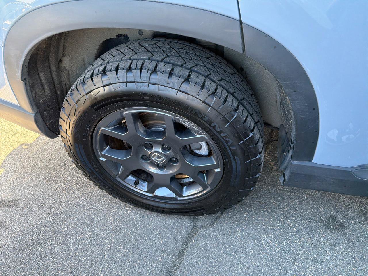 Used 2025 Honda Pilot TrailSport image 5