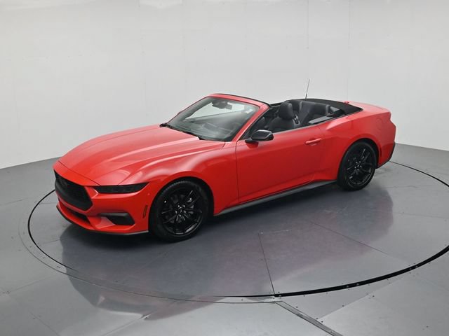 New 2026 Ford Mustang Convertible w/ Mustang Nite Pony Package RWD image 49