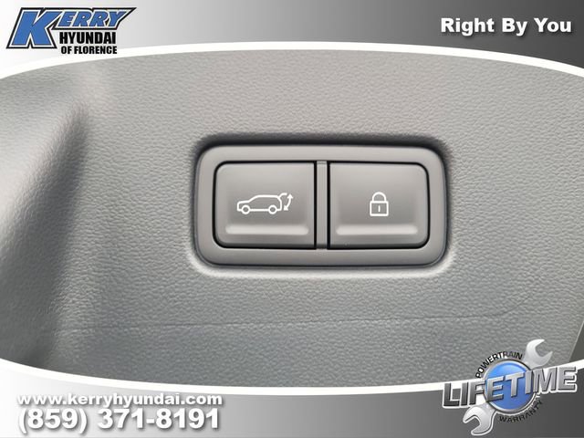 New 2026 Hyundai Palisade Calligraphy image 10