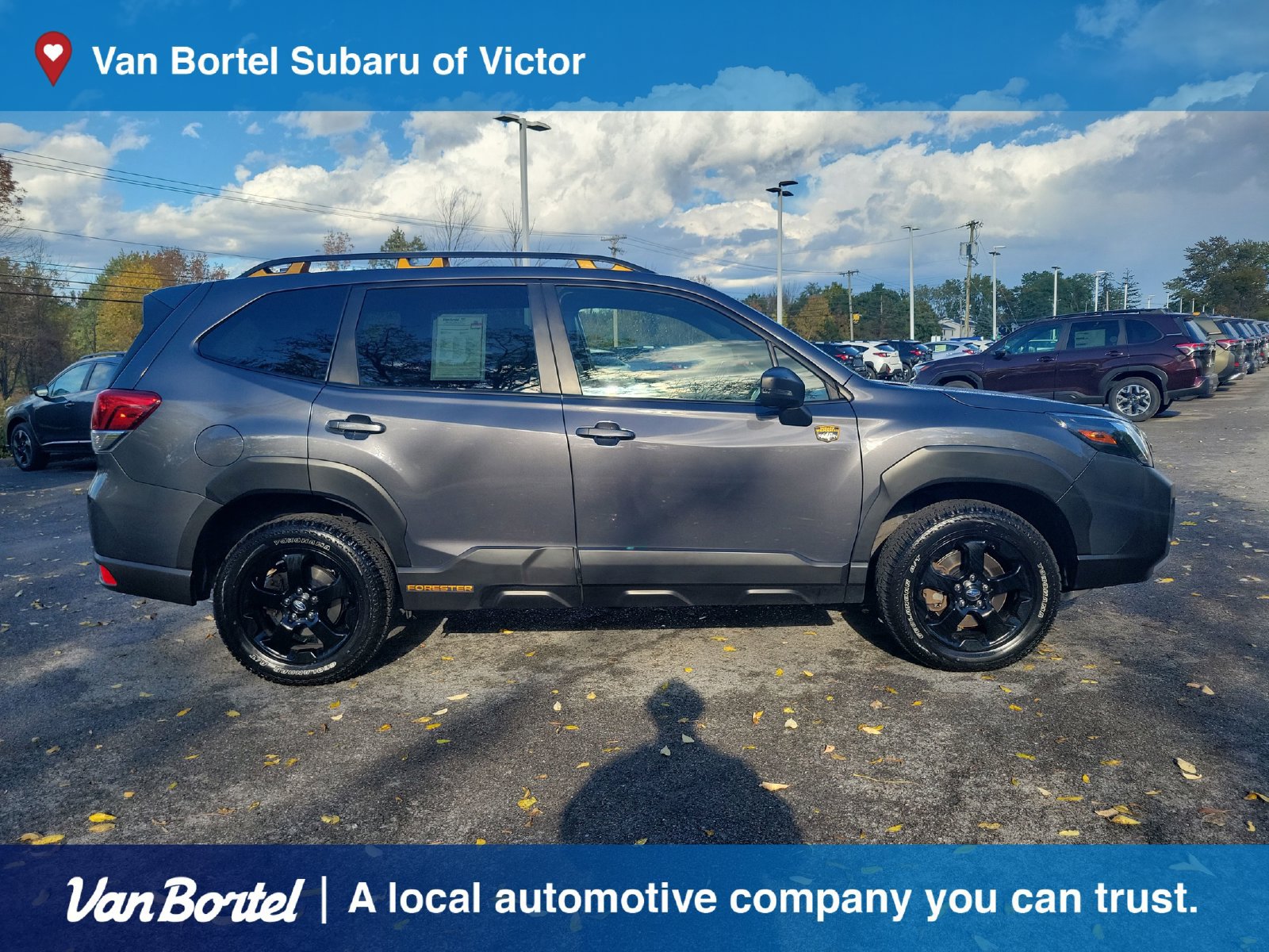 Certified 2023 Subaru Forester Wilderness AWD/4WD image 6