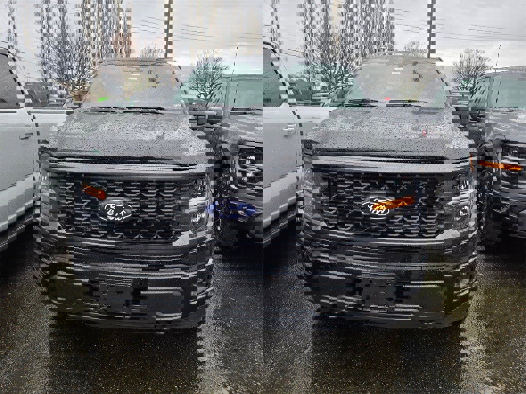 New 2025 Ford F150 STX w/ Equipment Group 200A image 2
