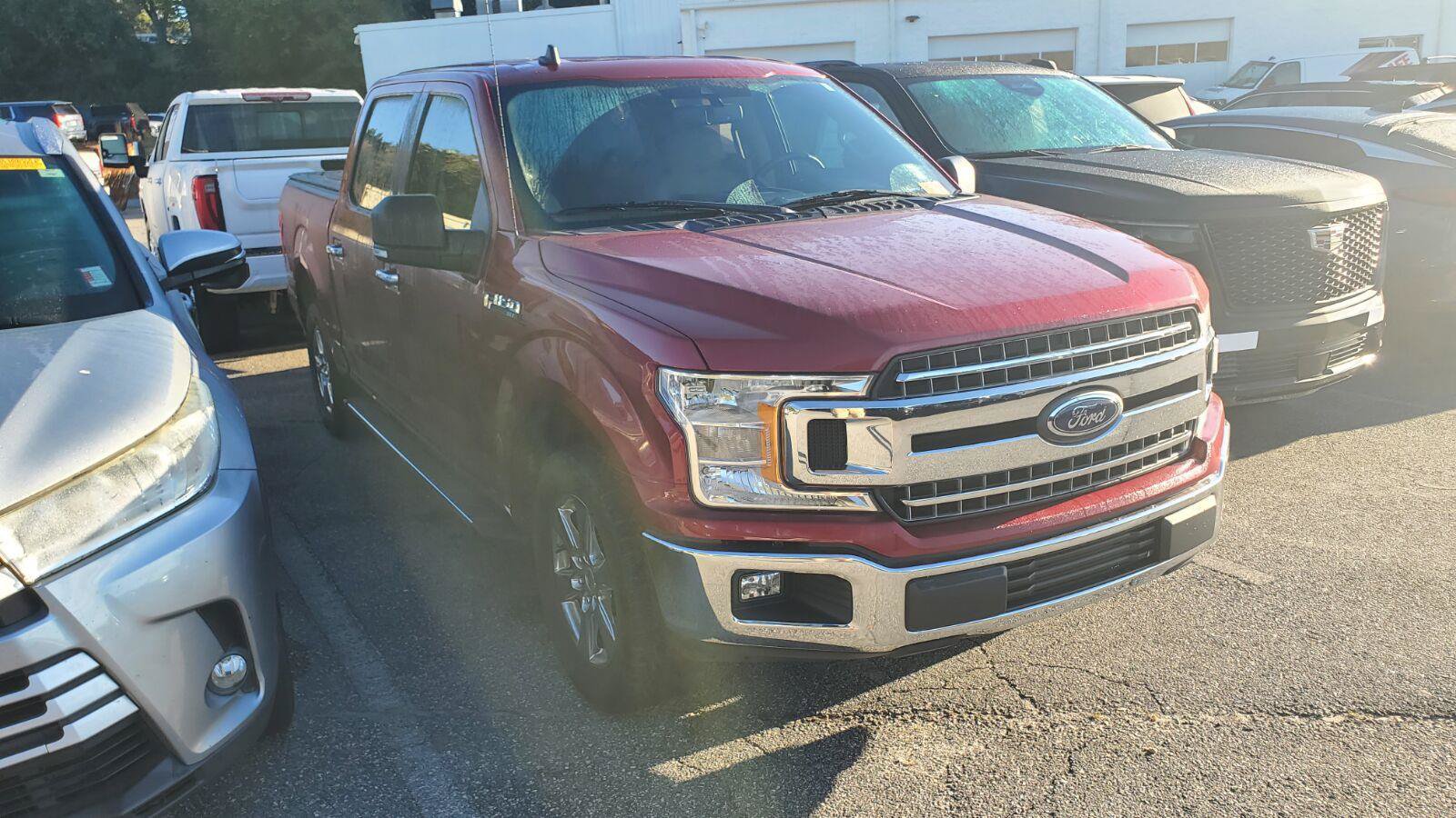 Used 2019 Ford F150 XLT w/ Equipment Group 302A Luxury RWD image 2