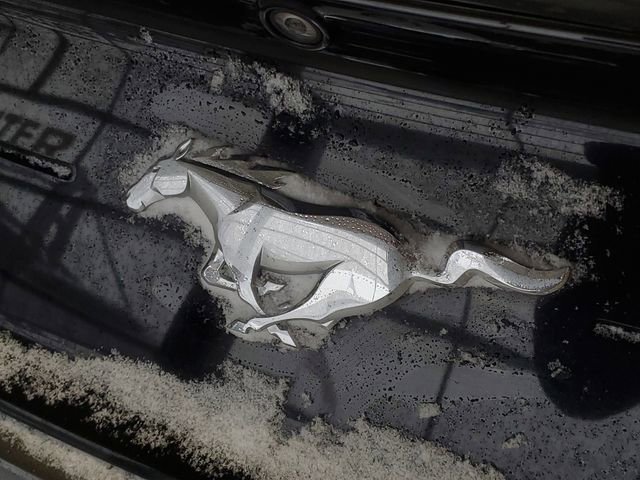 Used 2019 Ford Mustang Premium image 6