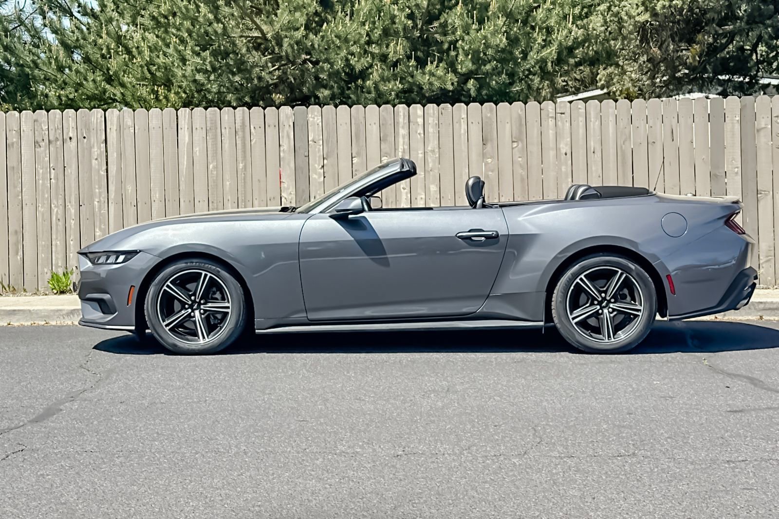 Used 2024 Ford Mustang Premium RWD image 8