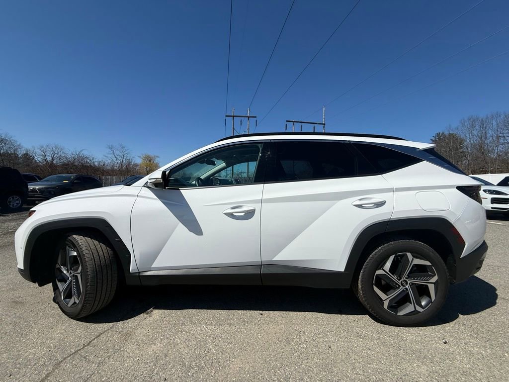 Used 2023 Hyundai Tucson Limited image 7