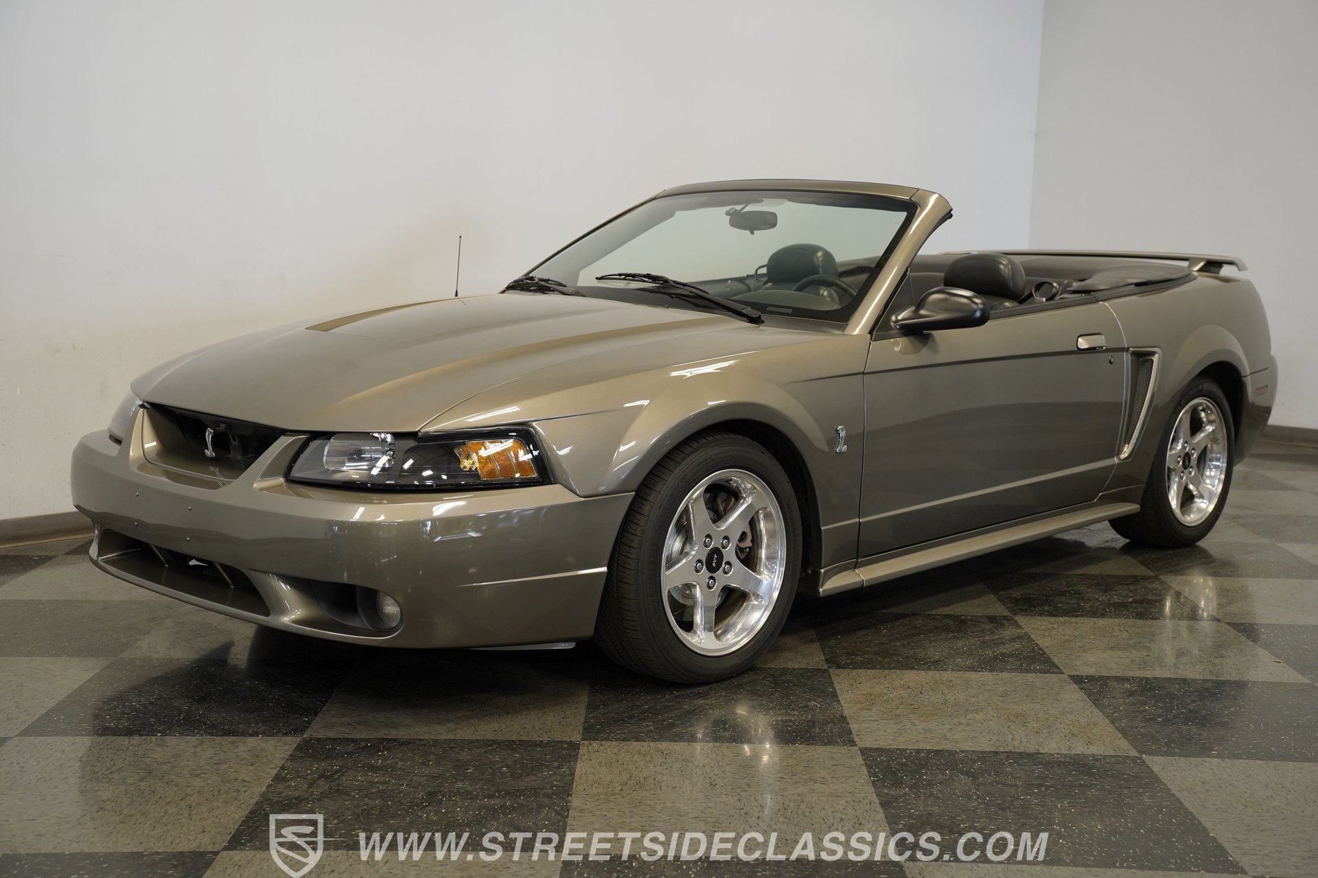 Used 2001 Ford Mustang Cobra RWD image 6