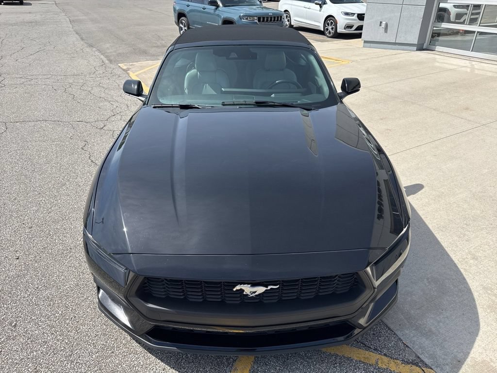 Used 2024 Ford Mustang Premium RWD image 13
