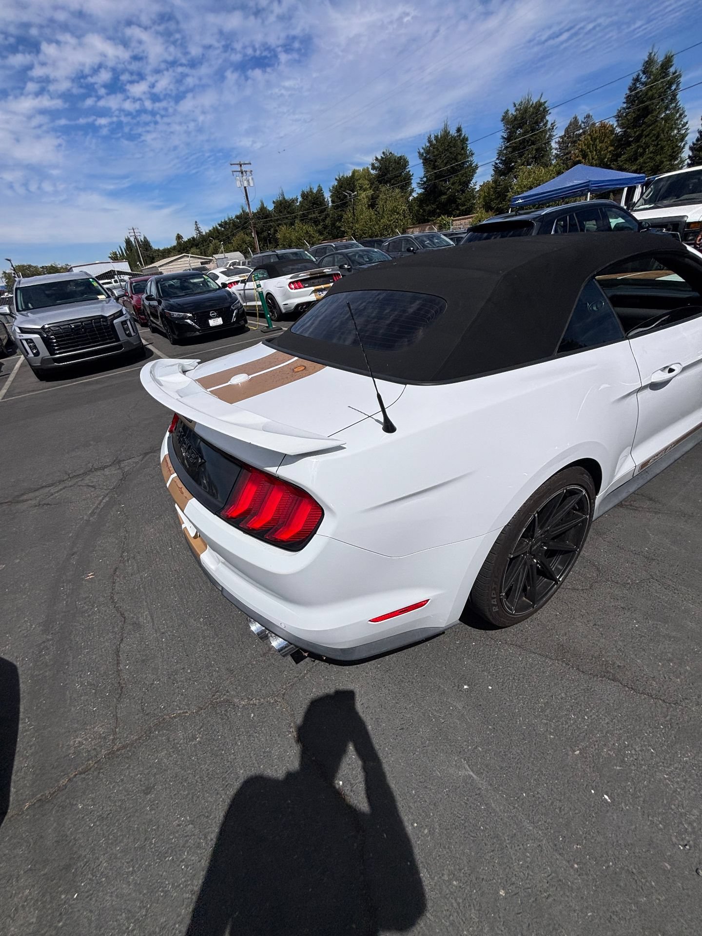 Used 2022 Ford Mustang GT Premium w/ GT Performance Package RWD image 13