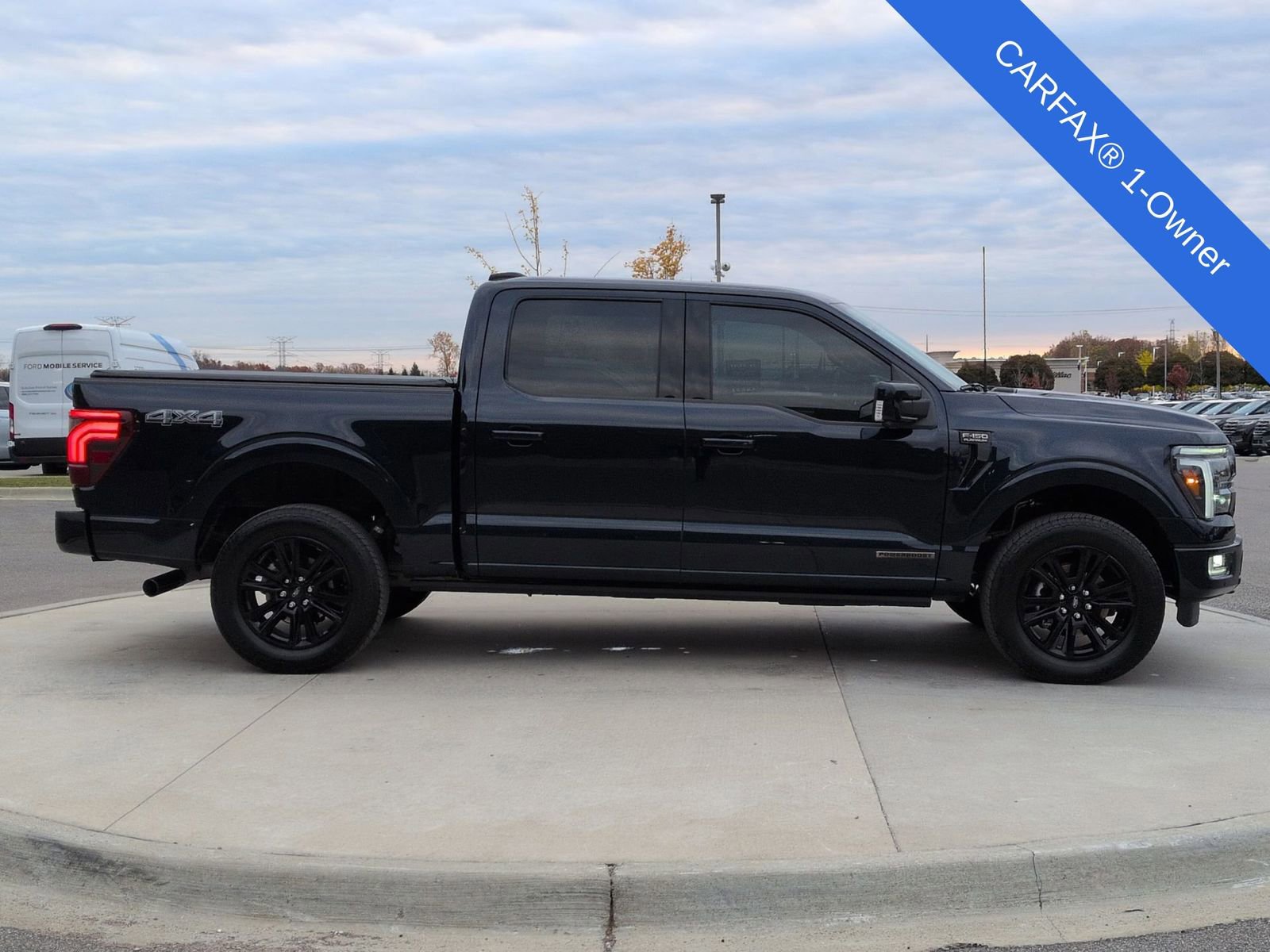 Used 2025 Ford F150 Platinum image 9