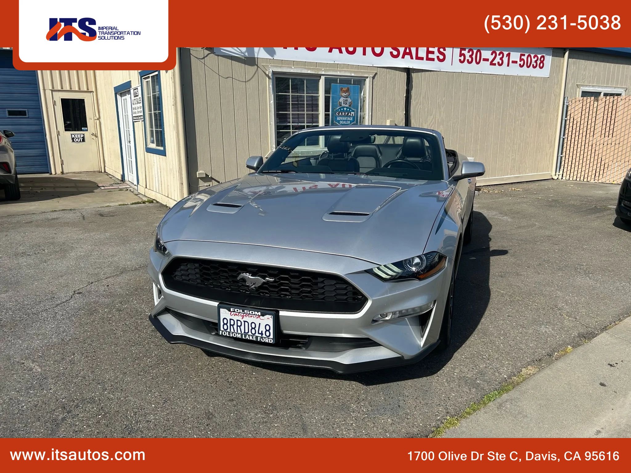 Used 2019 Ford Mustang Premium w/ Equipment Group 201A image 1