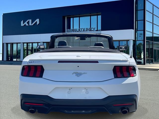 Used 2024 Ford Mustang Premium image 9