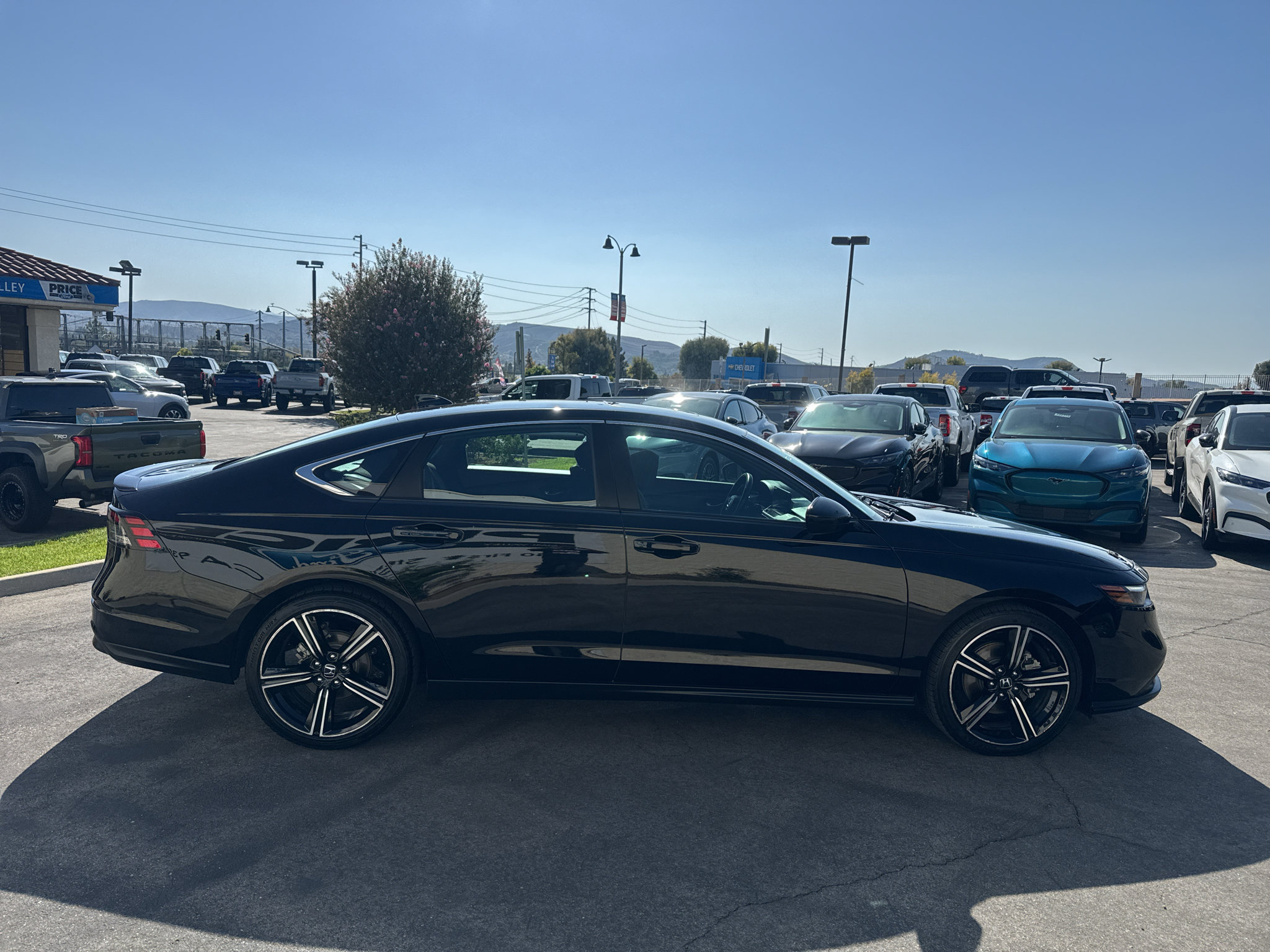 Used 2025 Honda Accord Sport image 4