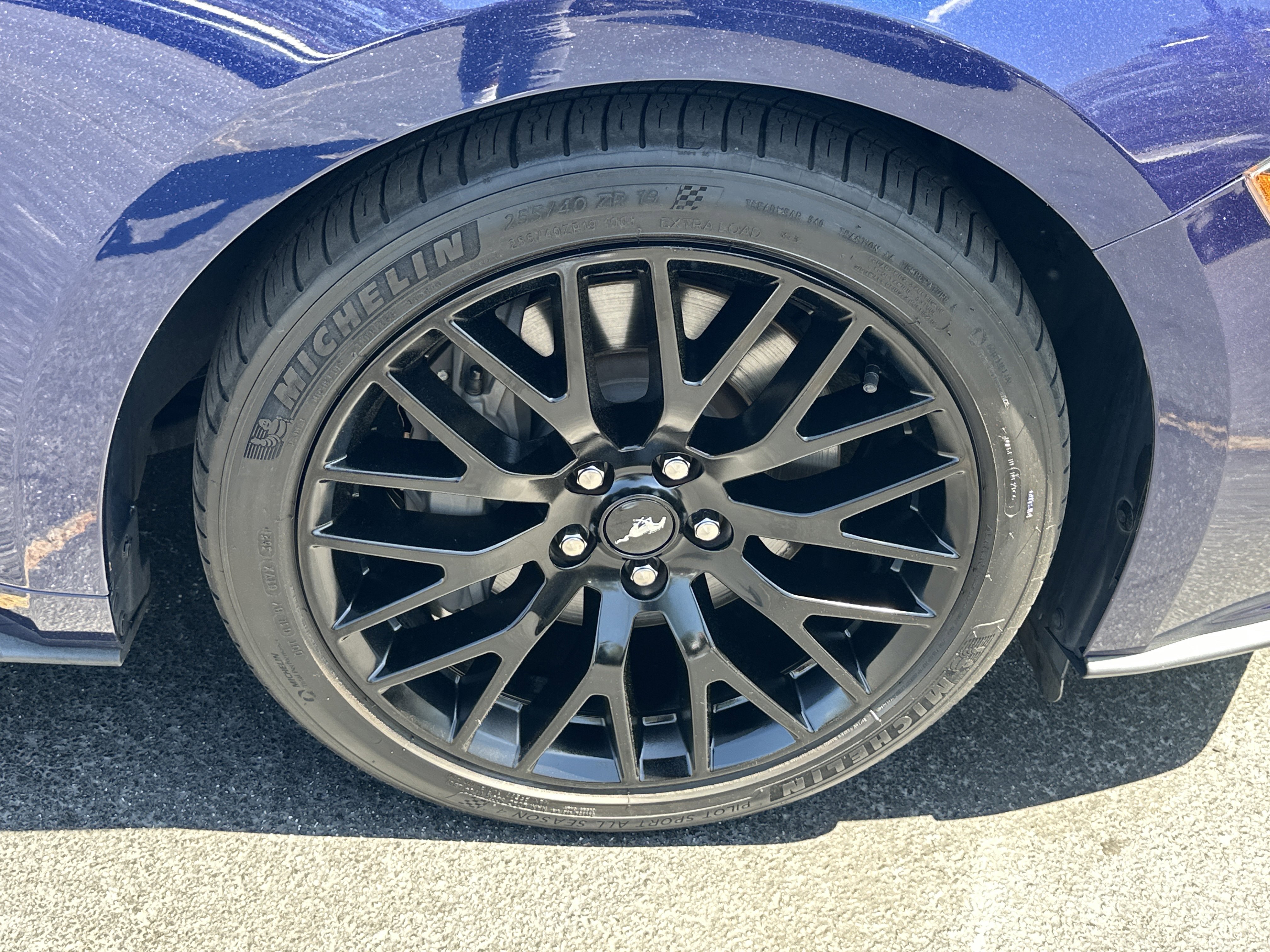 Used 2019 Ford Mustang GT Premium image 14