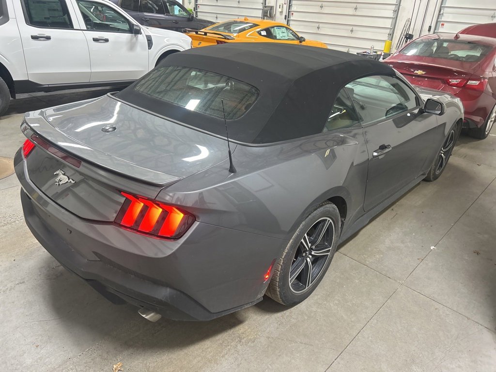 Used 2024 Ford Mustang Premium image 6