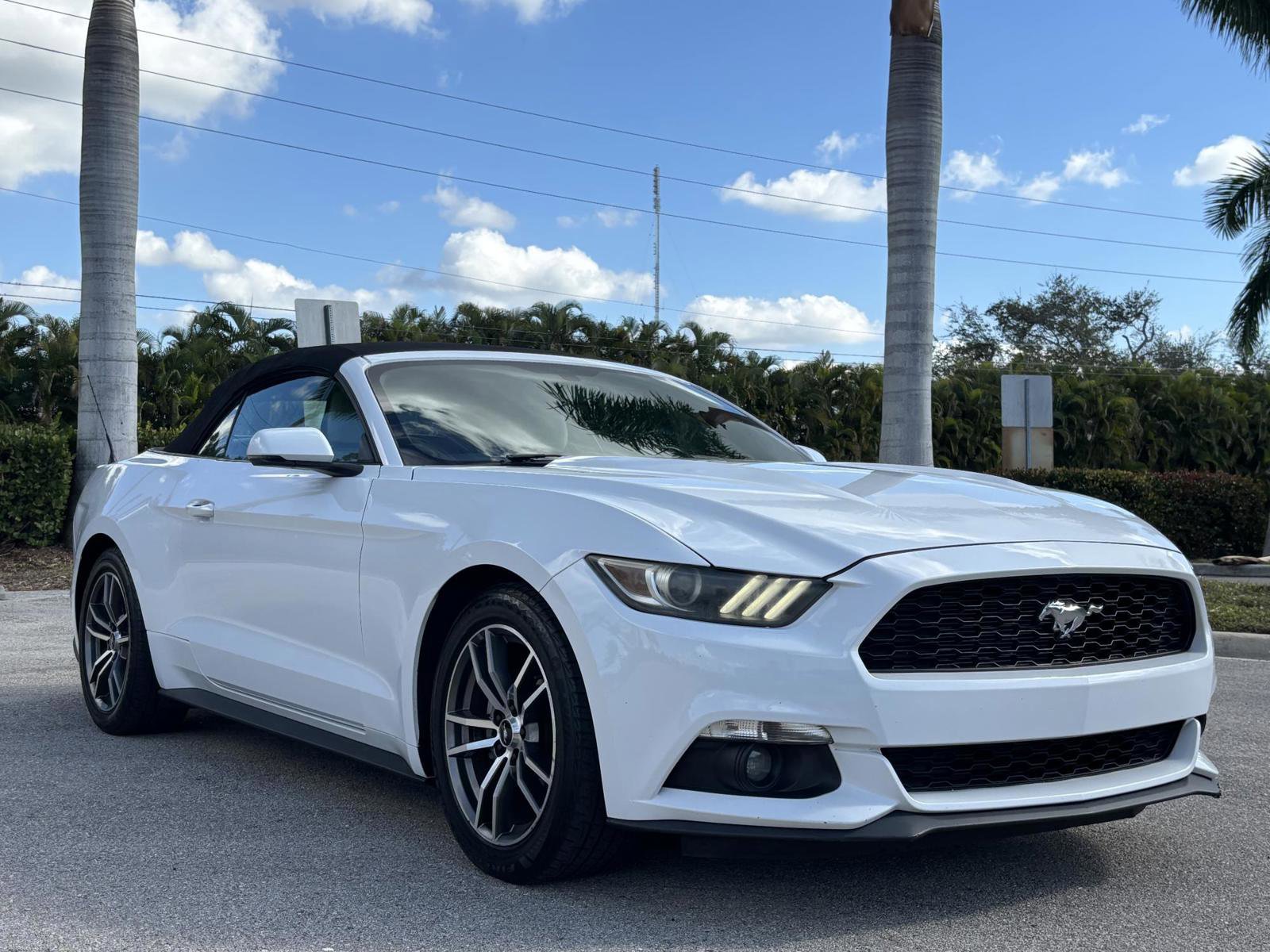 Used 2016 Ford Mustang Premium image 12